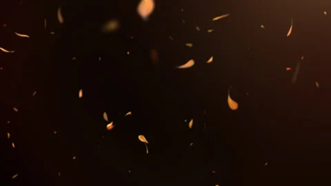 Seamless Falling Leaves Loop Animation, Autumn Foliage Overlay in 4K Stock Footage 334712449