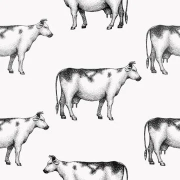 Seamless farm vector pattern. Graphical cow silhouette, hand drawn vintage Stock Illustration