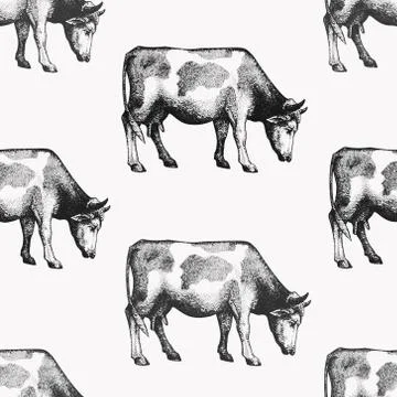 Seamless farm vector pattern. Graphical cow silhouette, hand drawn vintage Illustrazione stock