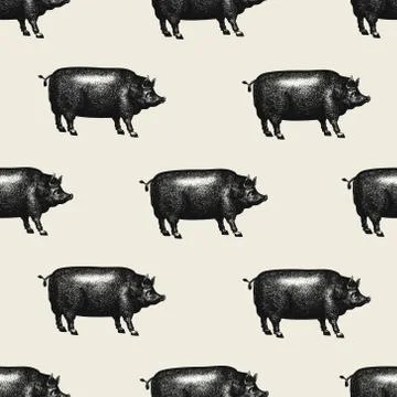 Seamless farm vector pattern. Graphical pig silhouette, hand drawn vintage Stock Illustration