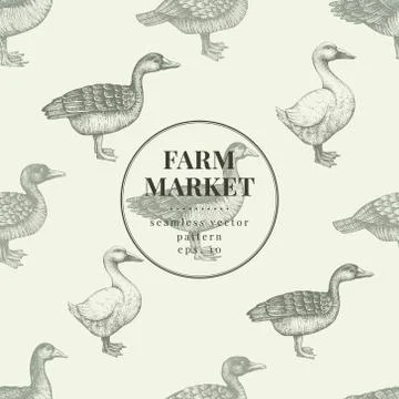 Seamless farm vector pattern. Graphical duck and goose silhouette, hand drawn Stock Illustration
