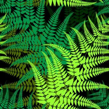 Seamless fern leaves pattern vector background Stock Illustration