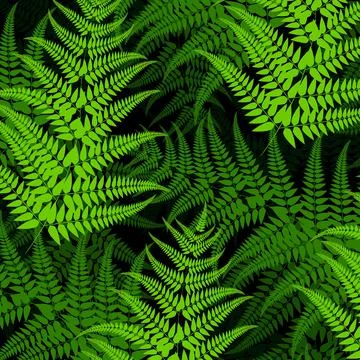 Seamless fern leaves pattern vector background Stock Illustration