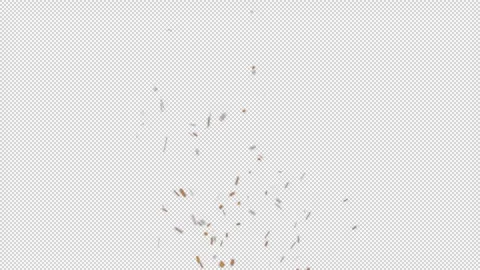 Seamless Fire Particles Animation with Alpha Channel Stock-Footage 278665974