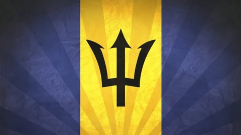 Seamless Flag Of Barbados Stock Footage 112625753