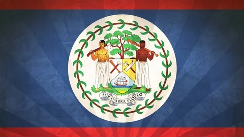 Seamless Flag Of Belize Stock Footage 112625933