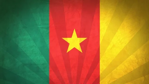 Seamless Flag Of Cameroon Stock Footage 112381061