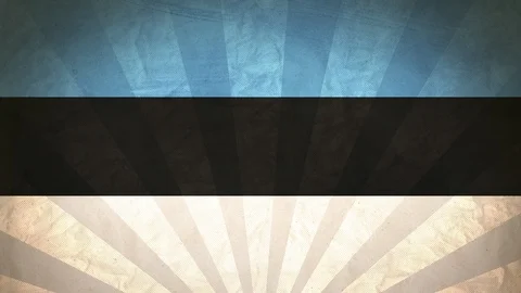 Seamless Flag Of Estonia Stock Footage 112511202