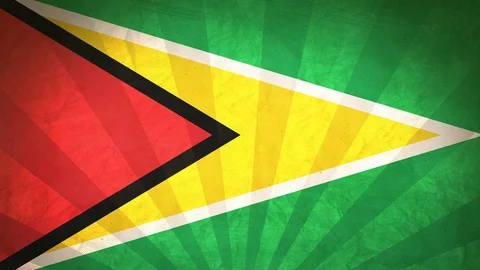 Seamless Flag Of Guyana Stock Footage 112631495