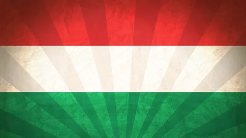 Seamless Flag Of Hungary Stock Footage 112338019