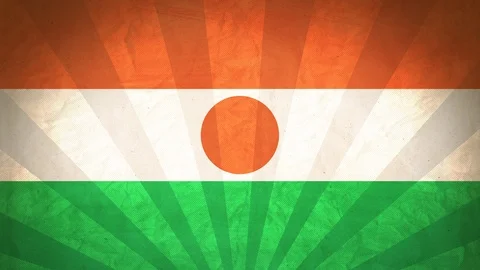 Seamless Flag Of Niger Stock Footage 112393817