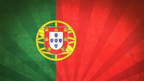 Seamless Flag Of Portugal Stock Footage 112376423