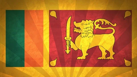 Seamless Flag Of Sri Lanka Stock Footage 112110149