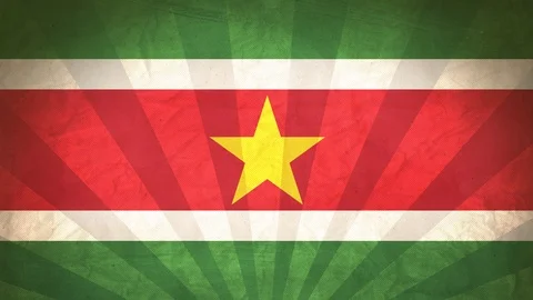 Seamless Flag Of Suriname Stock Footage 112631697