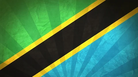 Seamless Flag Of Tanzania Stock Footage 112400177