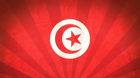 Seamless Flag Of Tunisia Stock Footage 112401723