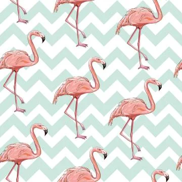 Seamless flamingo pattern vector illustration 스톡 일러스트