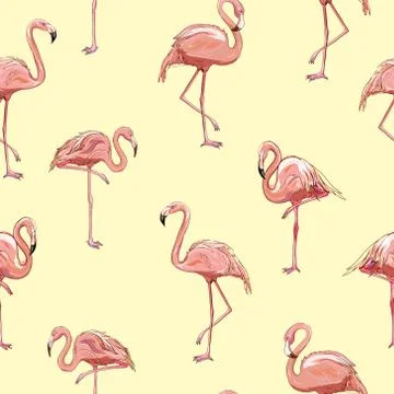 Seamless flamingo pattern vector illustration Stock Illustration