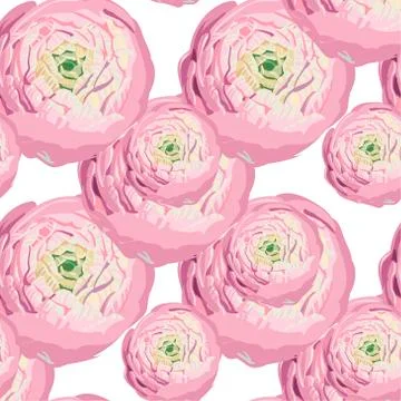 Seamless floral hand drawn pattern. Beautiful gentle pink peony buds on white Stock Illustration