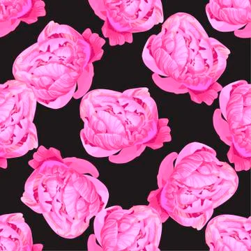 Seamless floral hand drawn pattern. Beautiful pink peony buds on black.  Stock Illustration