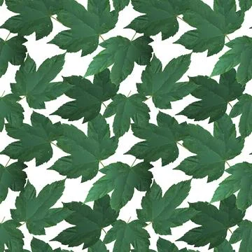 Seamless floral leaves pattern. Repeat pattern. イラスト素材