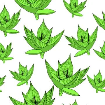 Seamless floral pattern background with aloe. Abstract texture. Perfect for w Stock Illustration