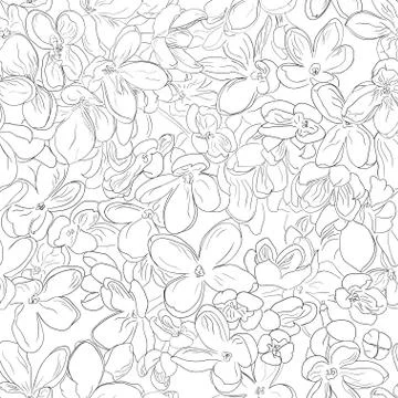 Seamless floral pattern background outline black on white lilac flower Stock Illustration