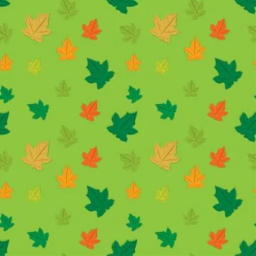 Seamless floral pattern background, Vector flower ornament, Hand drawn decora Stock Illustration
