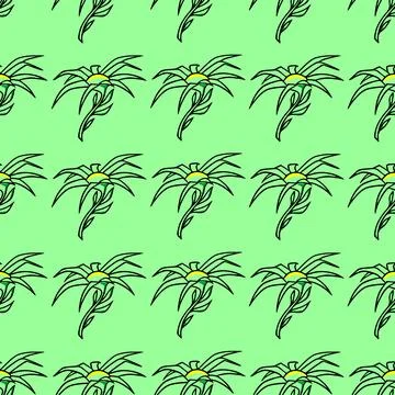 Seamless floral pattern of black contour flowers on a green background Stock Illustration