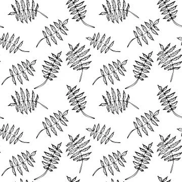 Seamless floral pattern with black hand drawn leaves on white background. Illustrazione stock