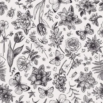 Seamless floral pattern with  butterflies. Stock Illustration