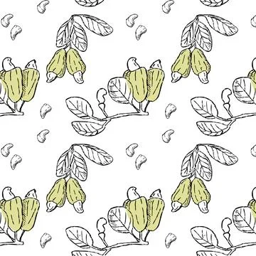 Seamless floral pattern with cashew nut branch and peeled nuts Stock Illustration