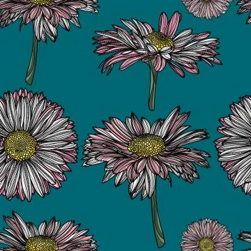 Seamless floral pattern with chamomile. 스톡 일러스트
