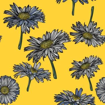Seamless floral pattern with chamomile. Stock Illustration
