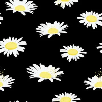 Seamless floral pattern. Daisy. Stock Illustration