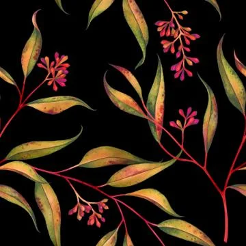 Seamless floral pattern with eucalyptus branches. Watercolor illustration. Stock Illustration