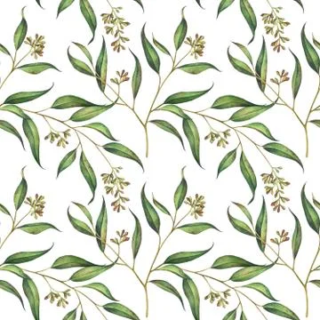 Seamless floral pattern with eucalyptus branches. Watercolor illustration. Stock Illustration