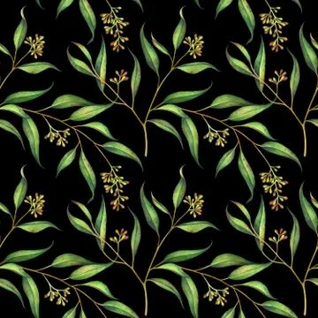 Seamless floral pattern with eucalyptus branches. Watercolor illustration. Stock Illustration
