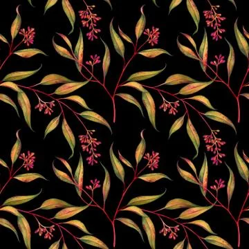 Seamless floral pattern with eucalyptus branches. Watercolor illustration. Stock Illustration