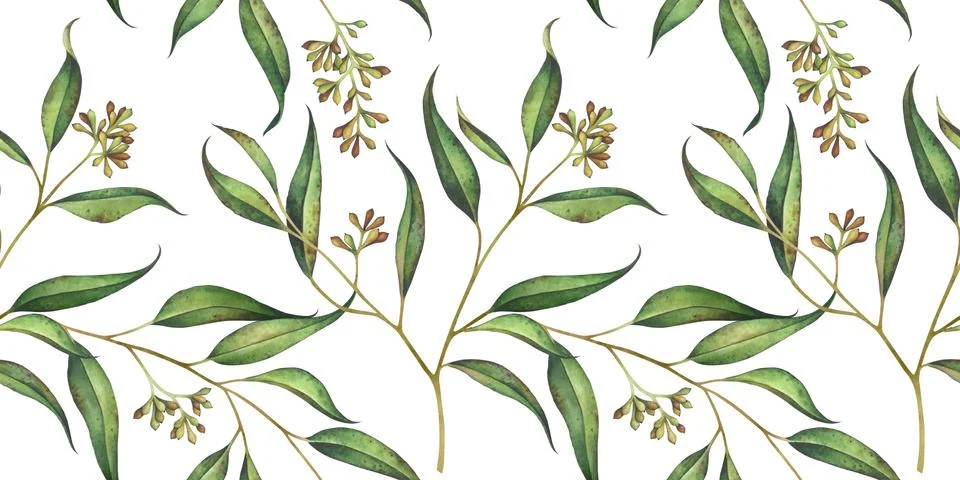 Seamless floral pattern with eucalyptus branches. Watercolor illustration. Stock Illustration