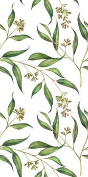 Seamless floral pattern with eucalyptus branches. Watercolor illustration. Stock Illustration