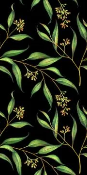 Seamless floral pattern with eucalyptus branches. Watercolor illustration. 스톡 일러스트