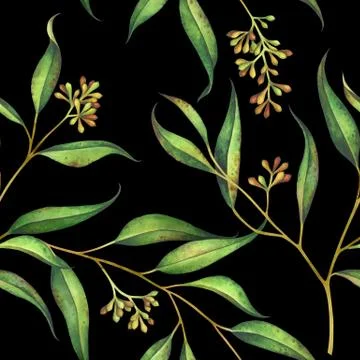Seamless floral pattern with eucalyptus branches. Watercolor illustration. Stock Illustration