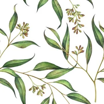 Seamless floral pattern with eucalyptus branches. Watercolor illustration. Stock Illustration