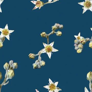 Seamless floral pattern featuring delicate white flowers on deep blue background Stock Illustration