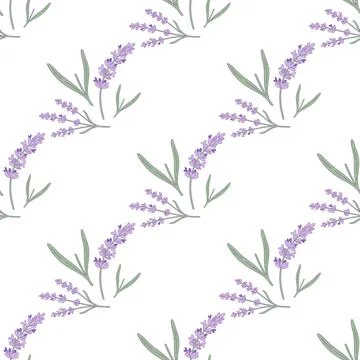 Seamless Floral Pattern Featuring Hand Drawn Lavender Sprigs on a Clean Whi.. Stock Illustration