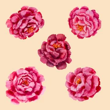 Seamless floral pattern. Flowers texture. Illustrazione stock