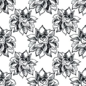 Seamless floral pattern hand-drawn black pen succulent. Flowers on white Illustrazione stock
