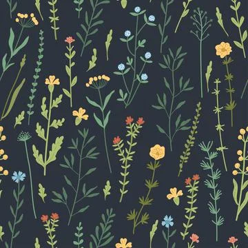 Seamless floral pattern with hand drawn plants, leaves, wild flowers. Stock Illustration