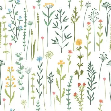 Seamless floral pattern with hand drawn plants, leaves, wild flowers. Illustrazione stock
